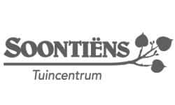 Soontiëns